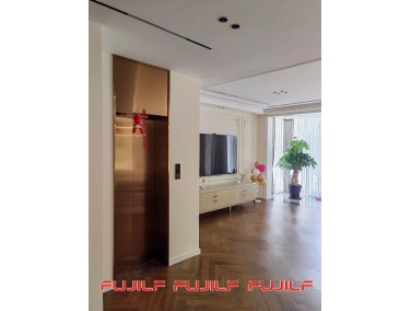 FUJILF Singapore golden home lift